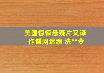 美国惊悚悬疑片又译作谍网迷魂 洗**令